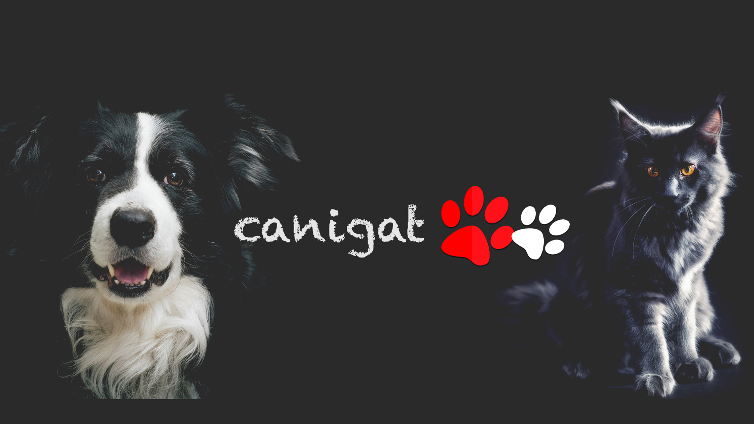  <i>CANIGAT TV</i>  <i>la televisión</i> <i>de las mascotas</i> <i></i>